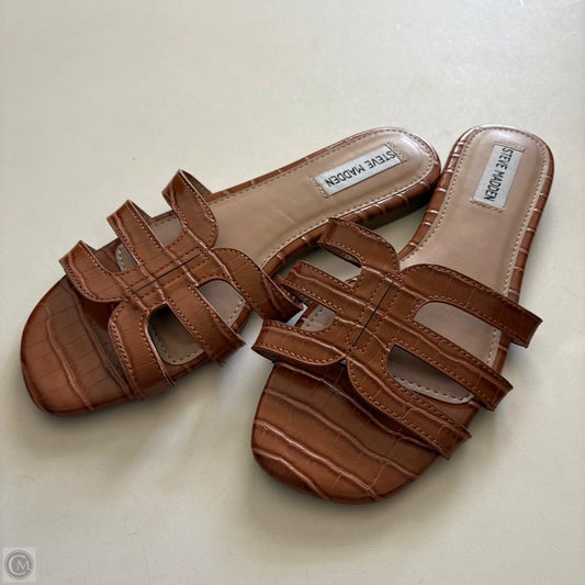 Sandals Flip Flops By Steve Madden In Brown, Size: 8