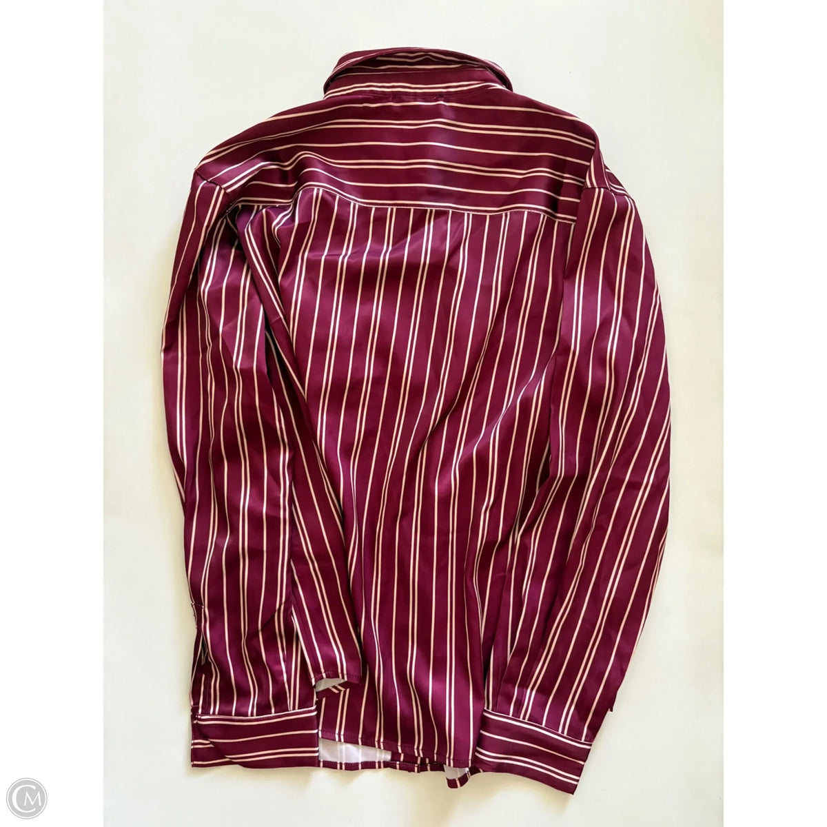 Blouse Long Sleeve By Sitrus In Striped Pattern, Size: M