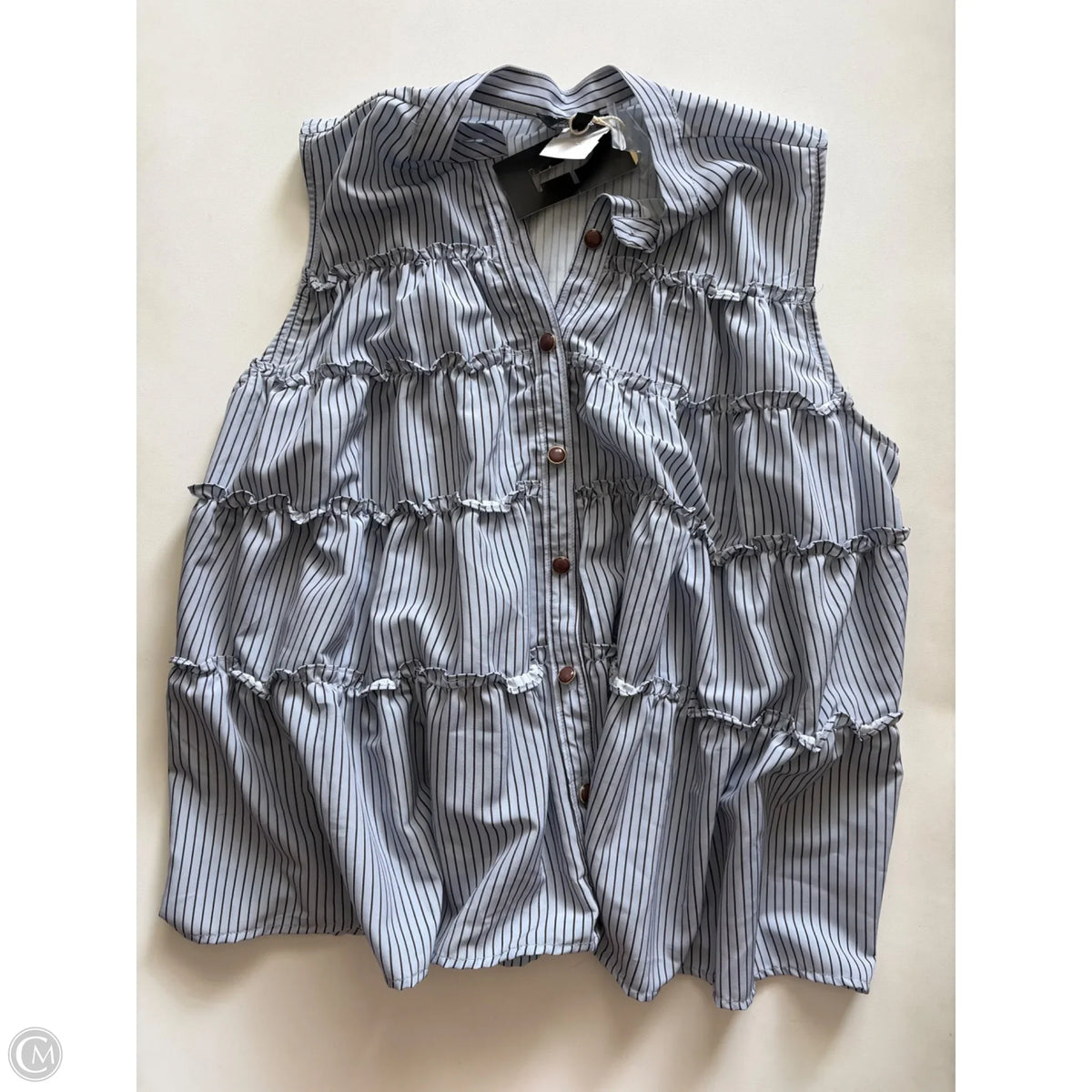 Blouse Sleeveless By Clothes Mentor In Striped Pattern, Size: 1x