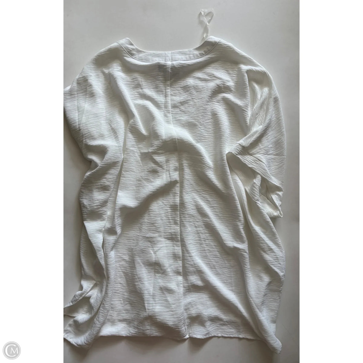 Blouse Short Sleeve By Fred David In White, Size: 2x
