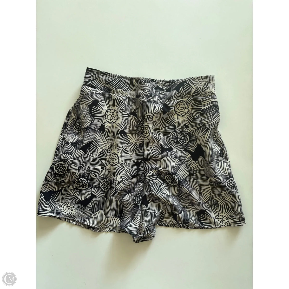 Shorts By Express In Black, Size: Xs