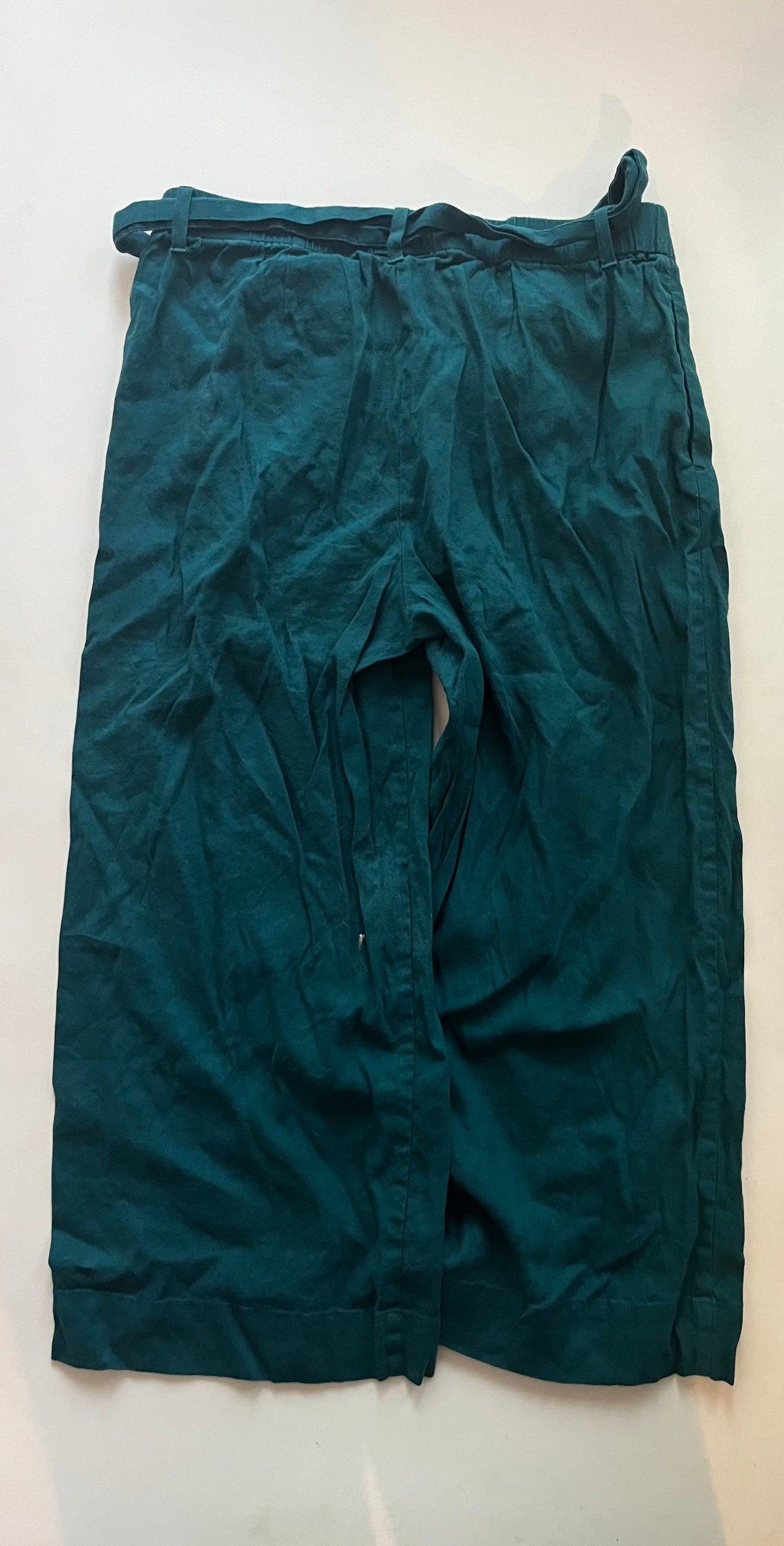 Teal Pants Ankle J Jill, Size M