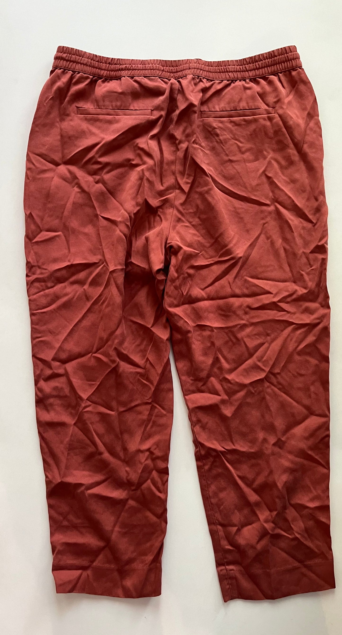 Pink Pants Ankle Banana Republic, Size L