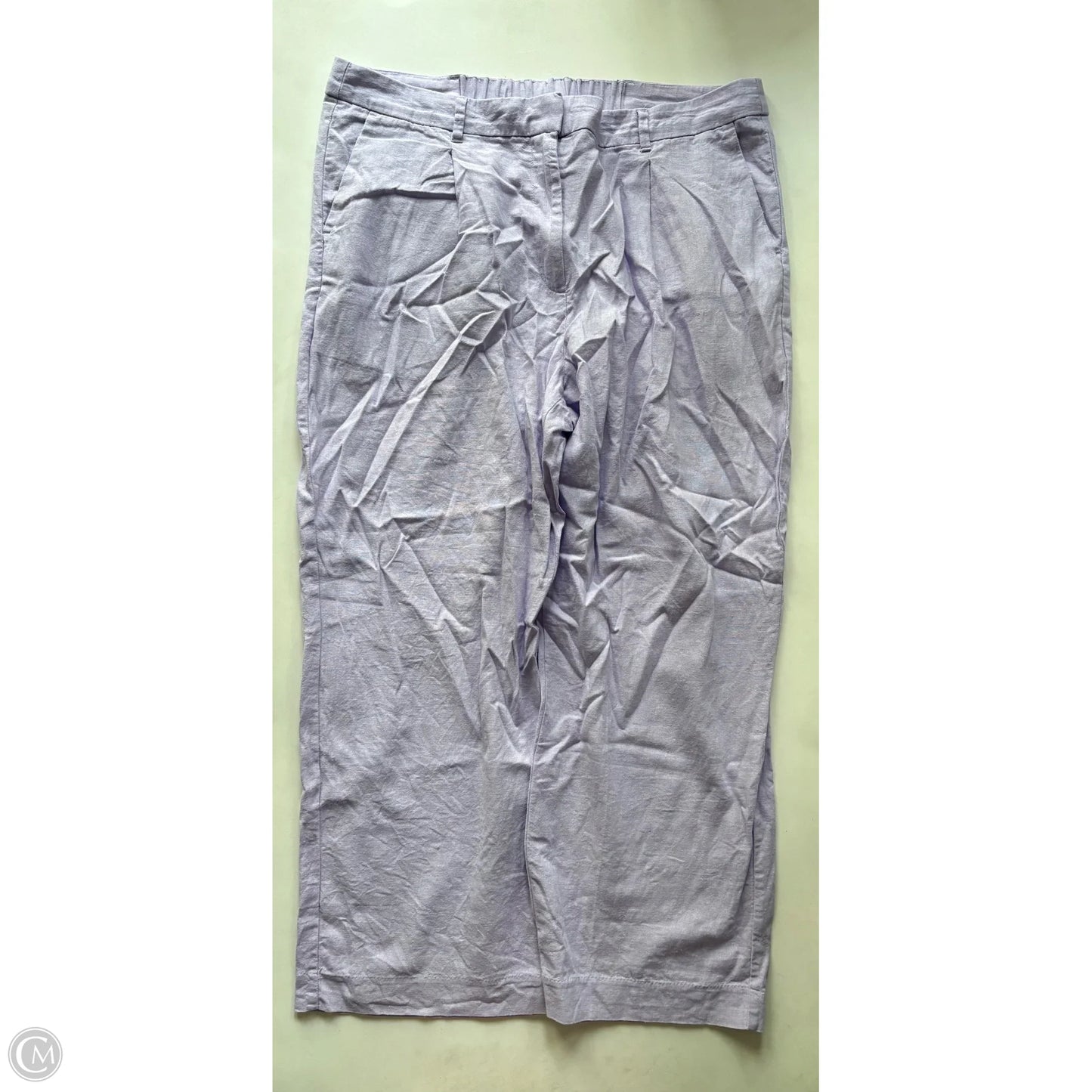 Pants Cargo & Utility By Old Navy In Purple, Size: Xl