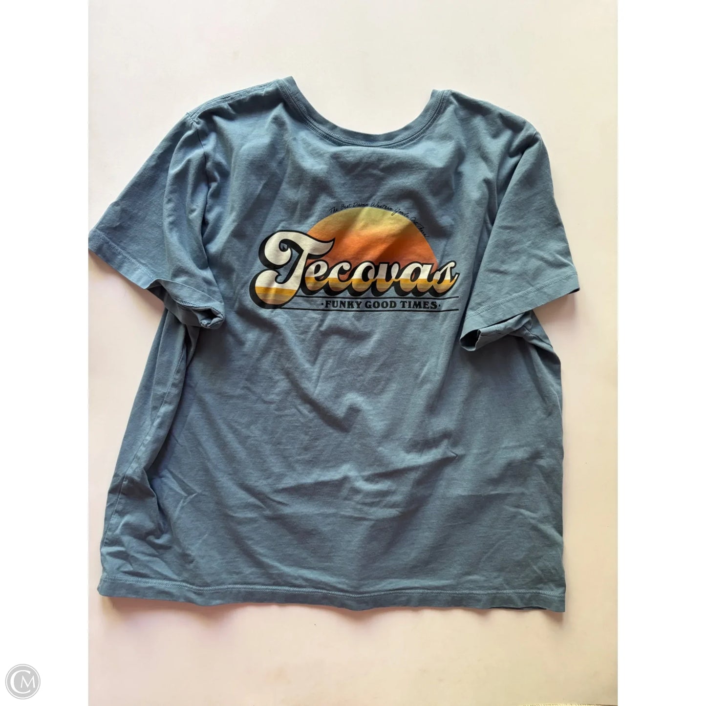 Top Short Sleeve By tevocas In Blue, Size: L