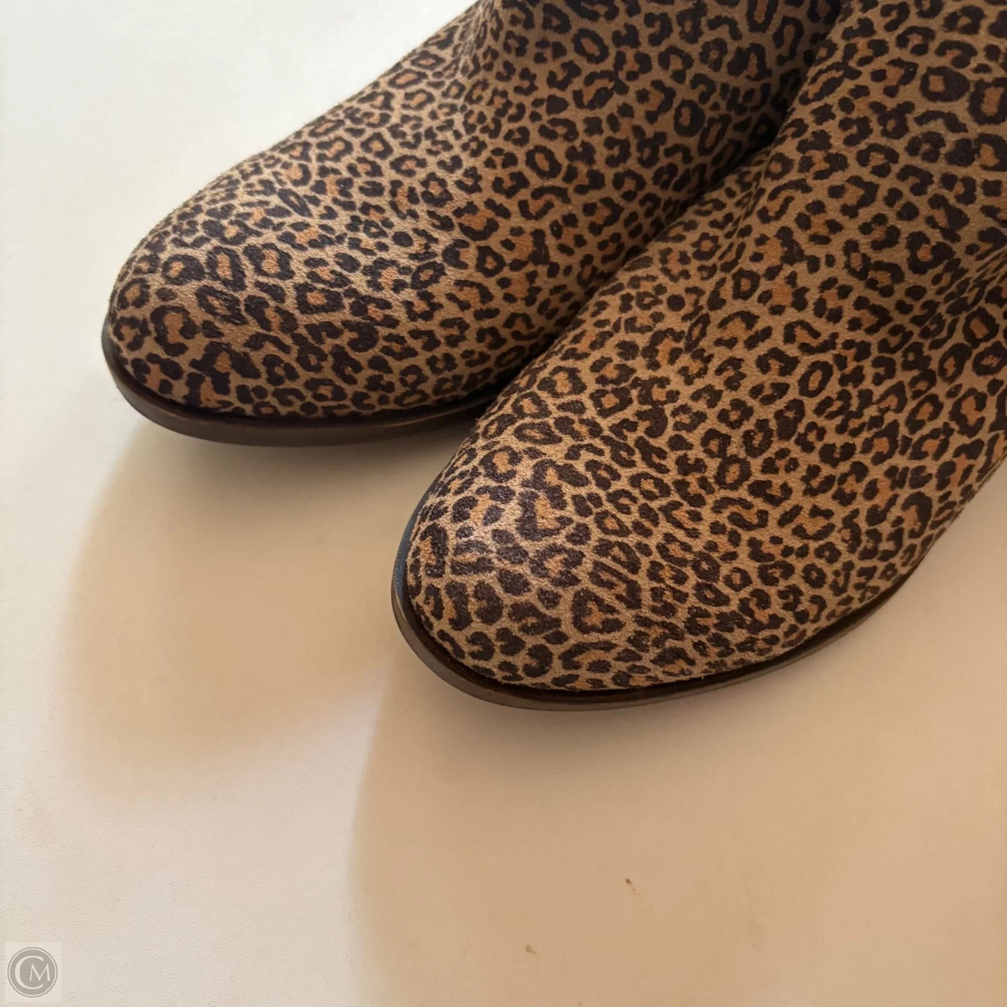 Shoes Heels Block By Lucky Brand In Leopard Print, Size: 8.5