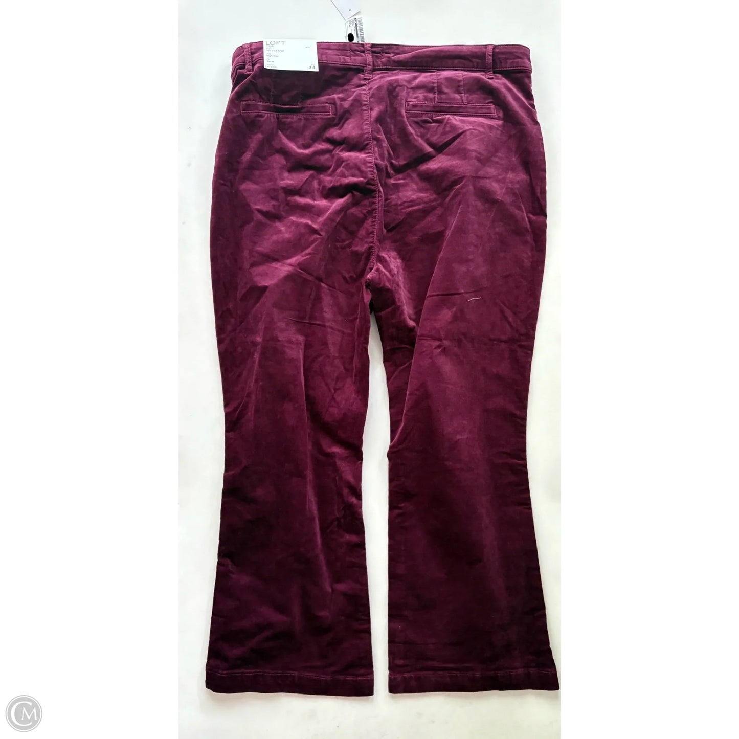 Jeans Skinny By Loft In Maroon, Size: 18
