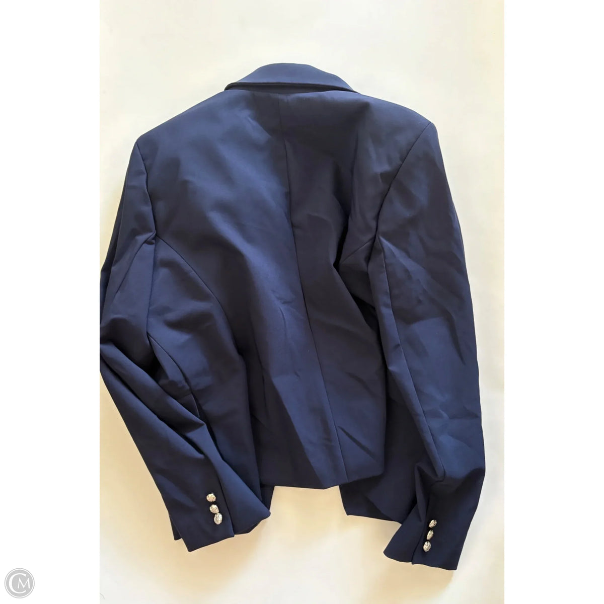 Blazer By Rachel Zoe In Blue, Size: Xl