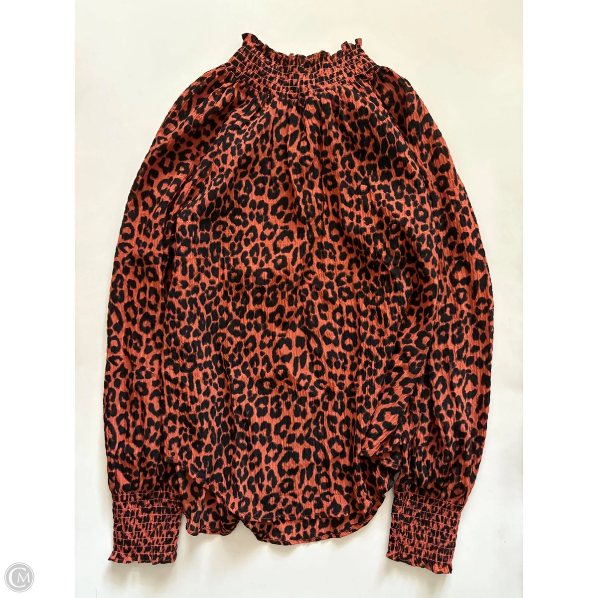 Blouse Long Sleeve By Loft In Leopard Print, Size: M