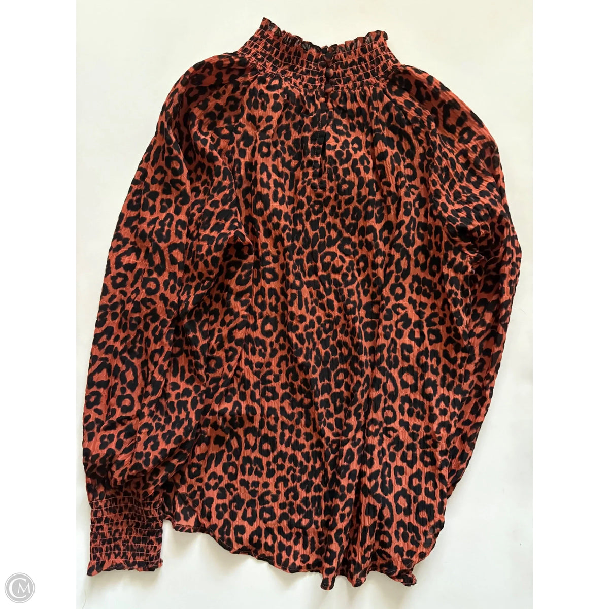 Blouse Long Sleeve By Loft In Leopard Print, Size: M