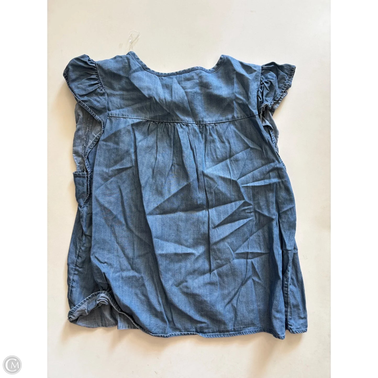 Top Sleeveless By Time And Tru In Blue, Size: M