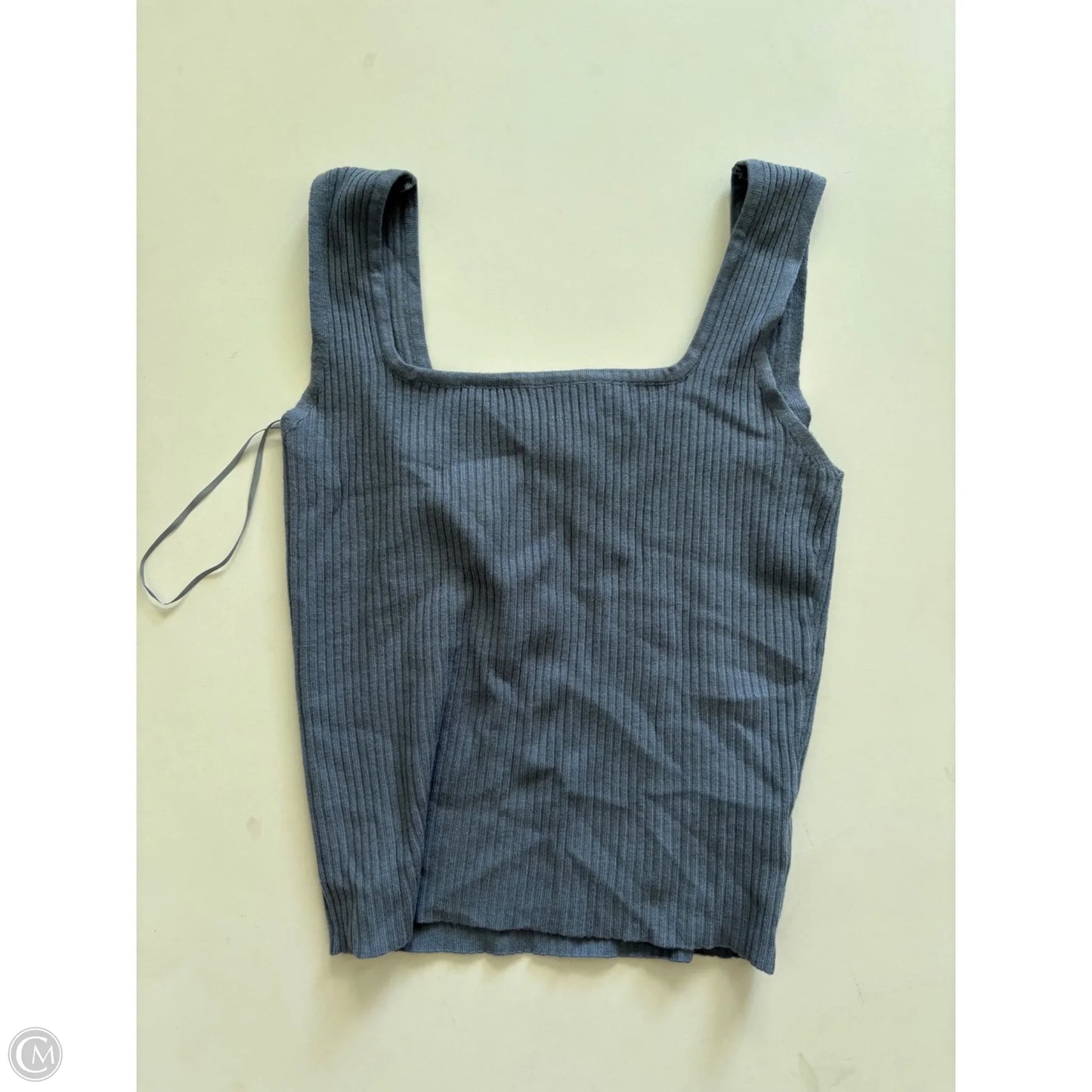 Top Sleeveless By boho blu In Blue, Size: M