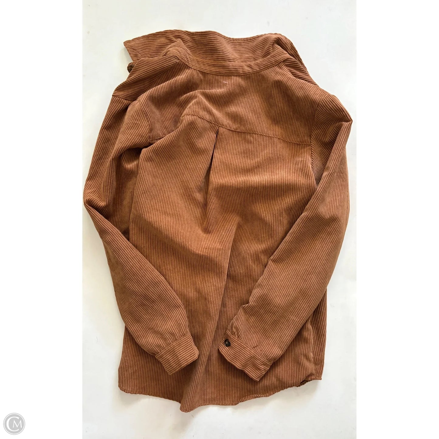 Top Long Sleeve By Altard State In Tan, Size: Xl