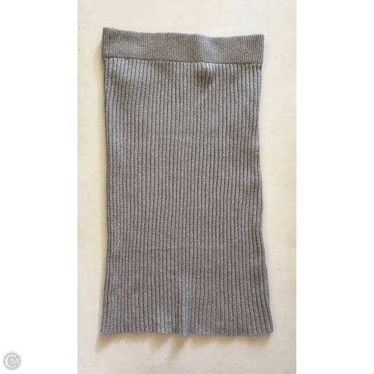 Skirt Midi By Time And Tru In Grey, Size: L