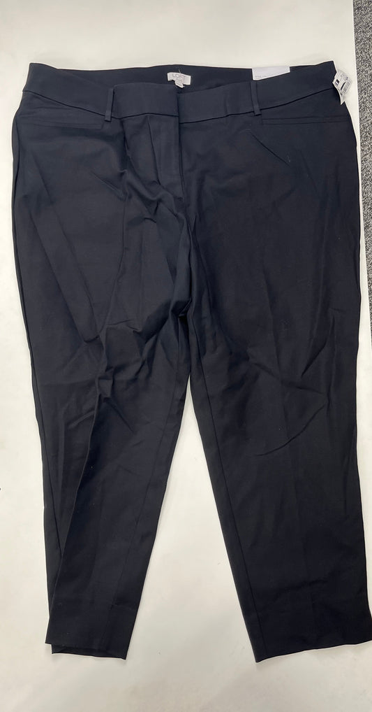 Black Pants Loft, Size 20