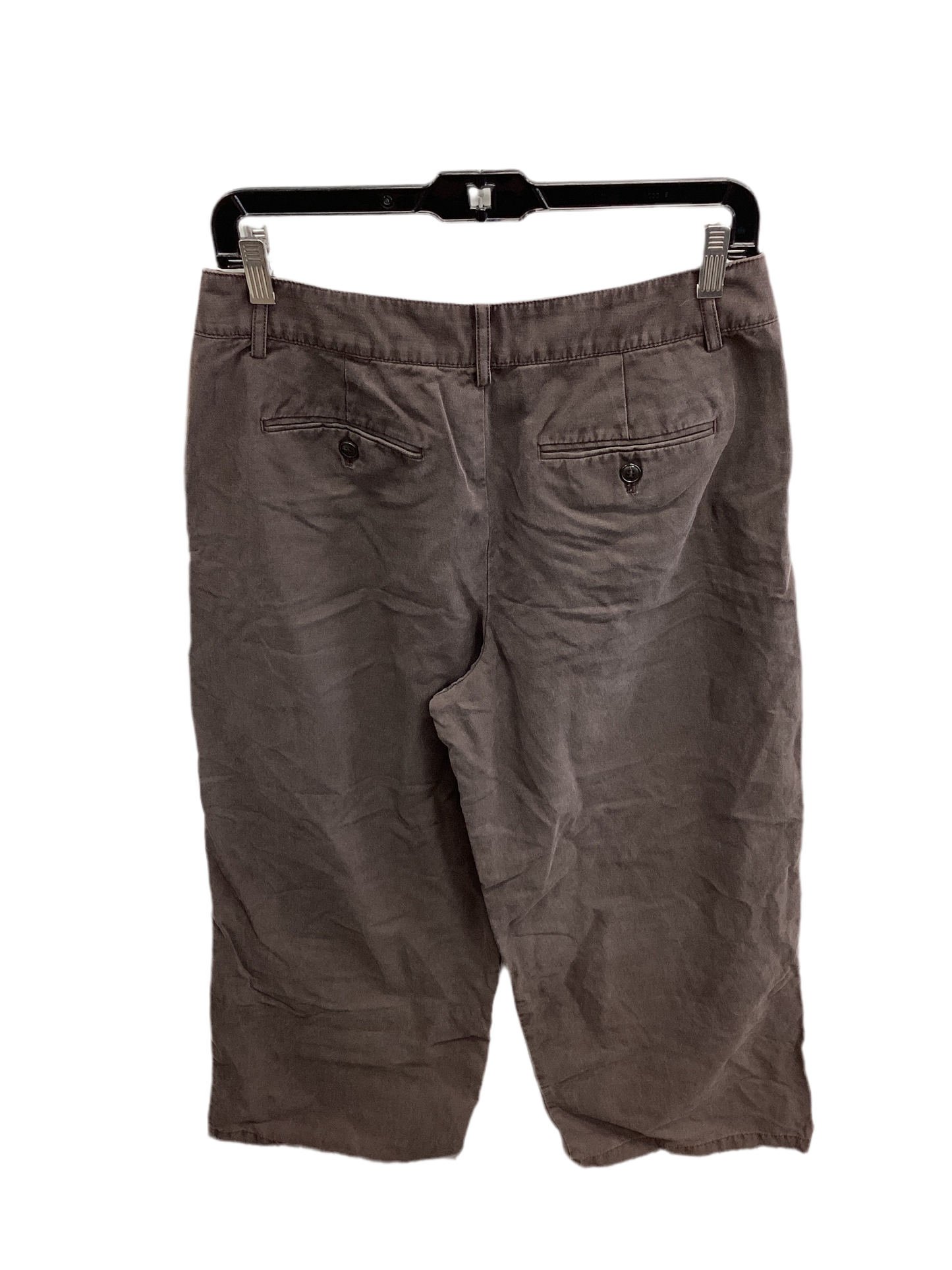 Pants Other By Madewell In Brown, Size:6