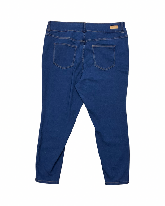 Jeans Skinny By Adrienne Vittadini In Blue Denim, Size:20