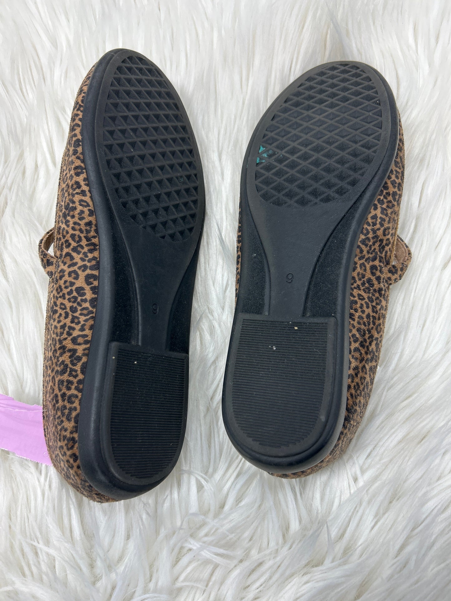 Shoes Flats By Aerosoles In Animal Print, Size:9