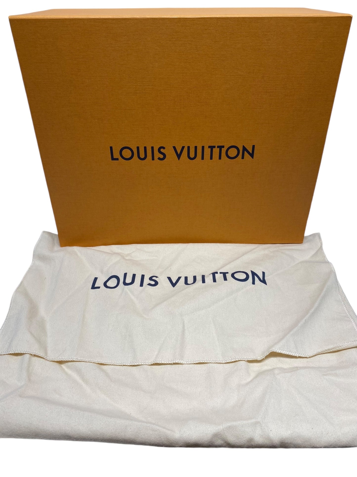 Handbag Luxury Designer By Louis Vuitton, Size: Large