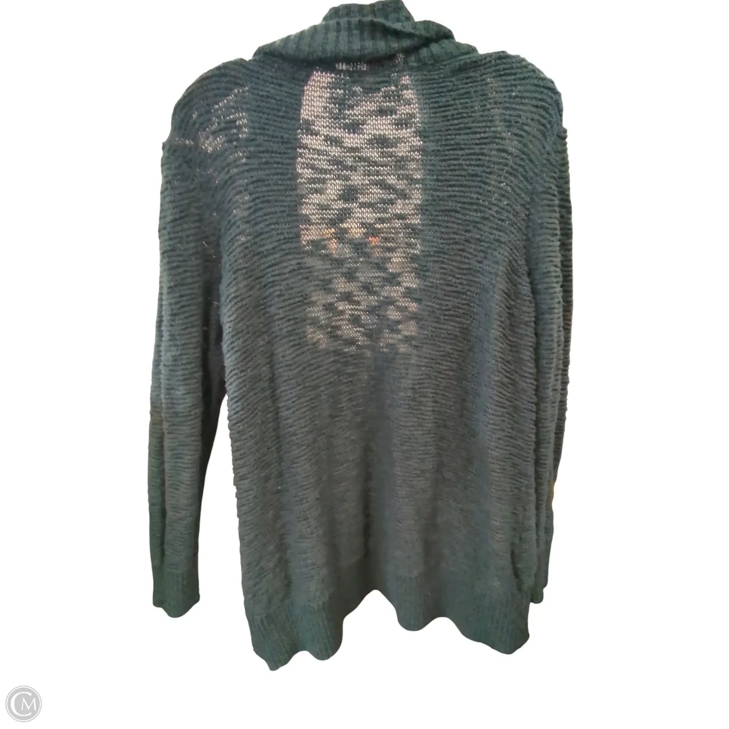 Sweater Cardigan By Eddie Bauer In Green, Size: 2x