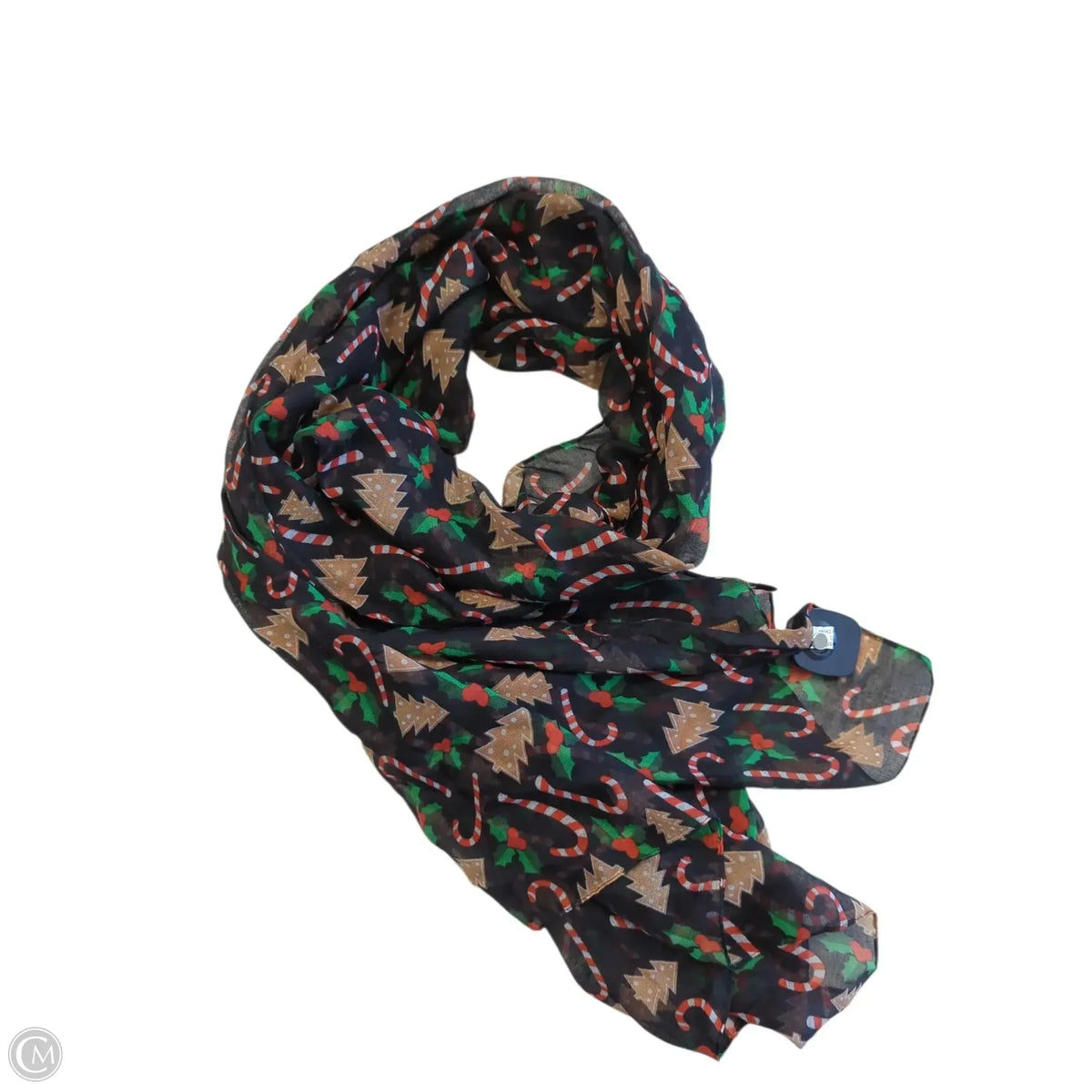 Scarf Long By Clothes Mentor