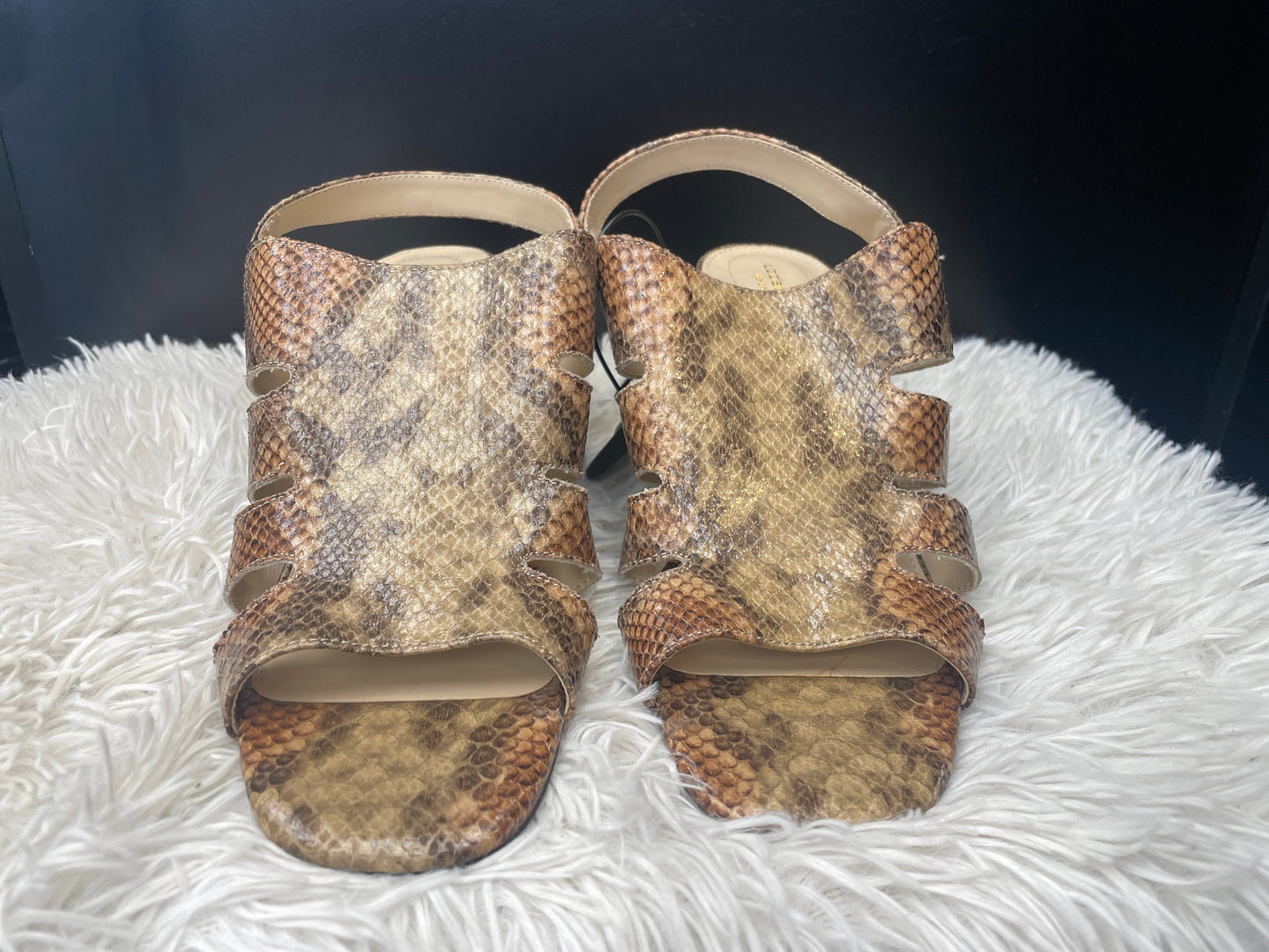 Snakeskin Print Shoes Heels Block Liz Claiborne, Size 10