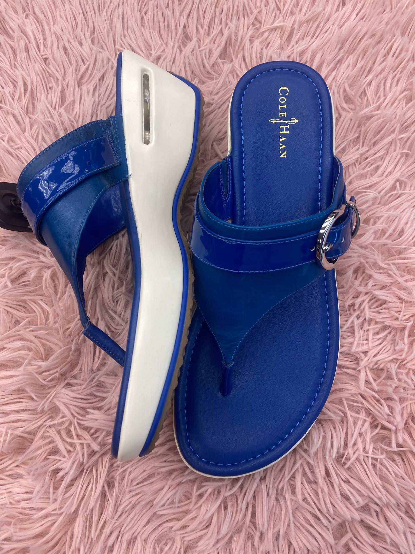 Sandals Heels Wedge By Cole-haan In Blue, Size: 9.5