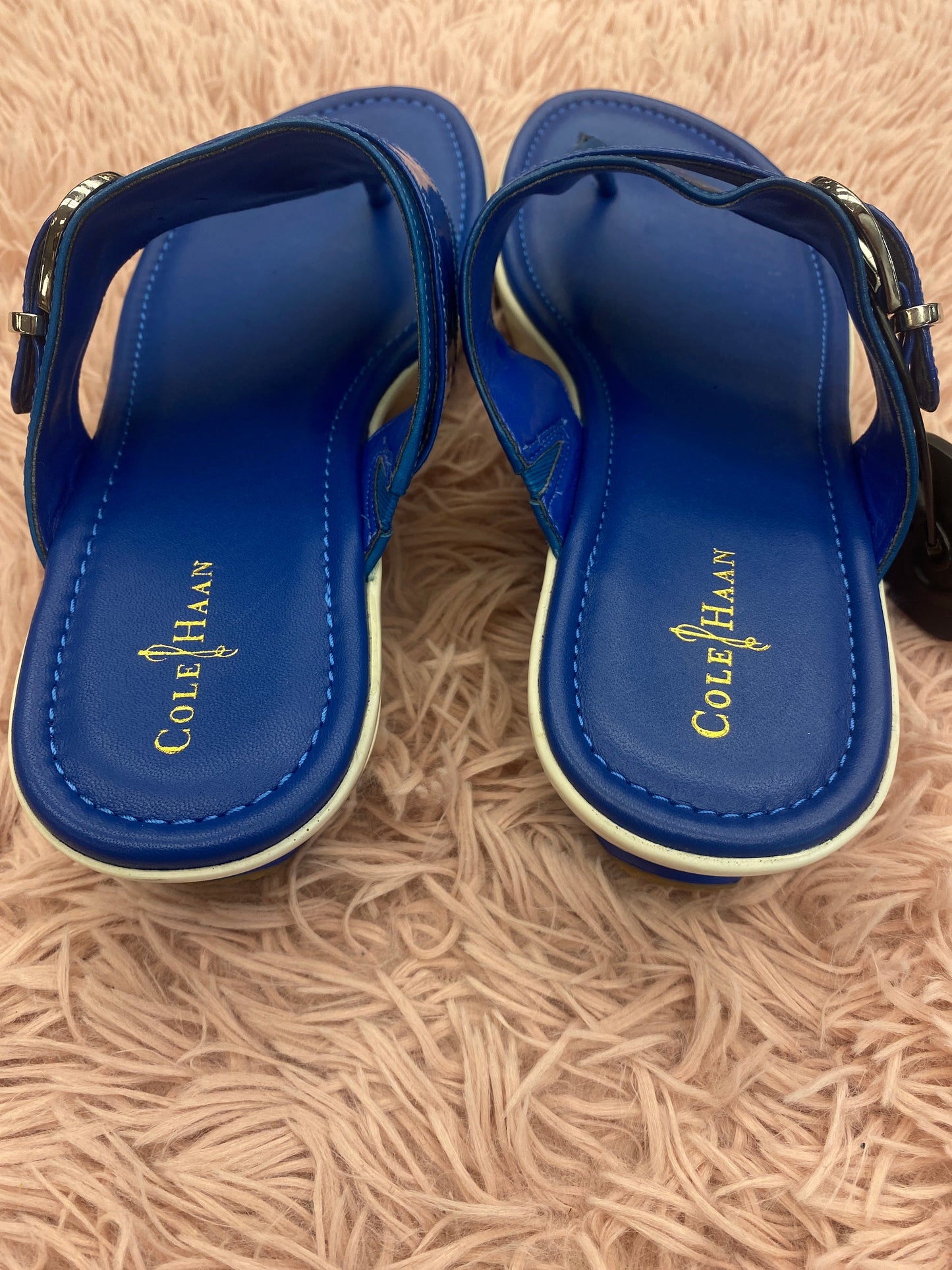 Sandals Heels Wedge By Cole-haan In Blue, Size: 9.5