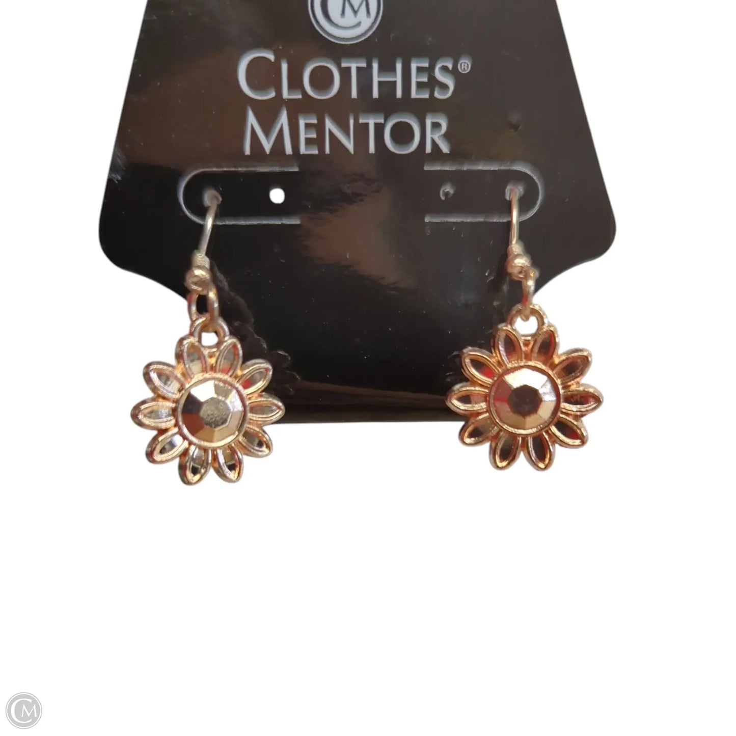 Earrings Dangle/drop By Paparazzi