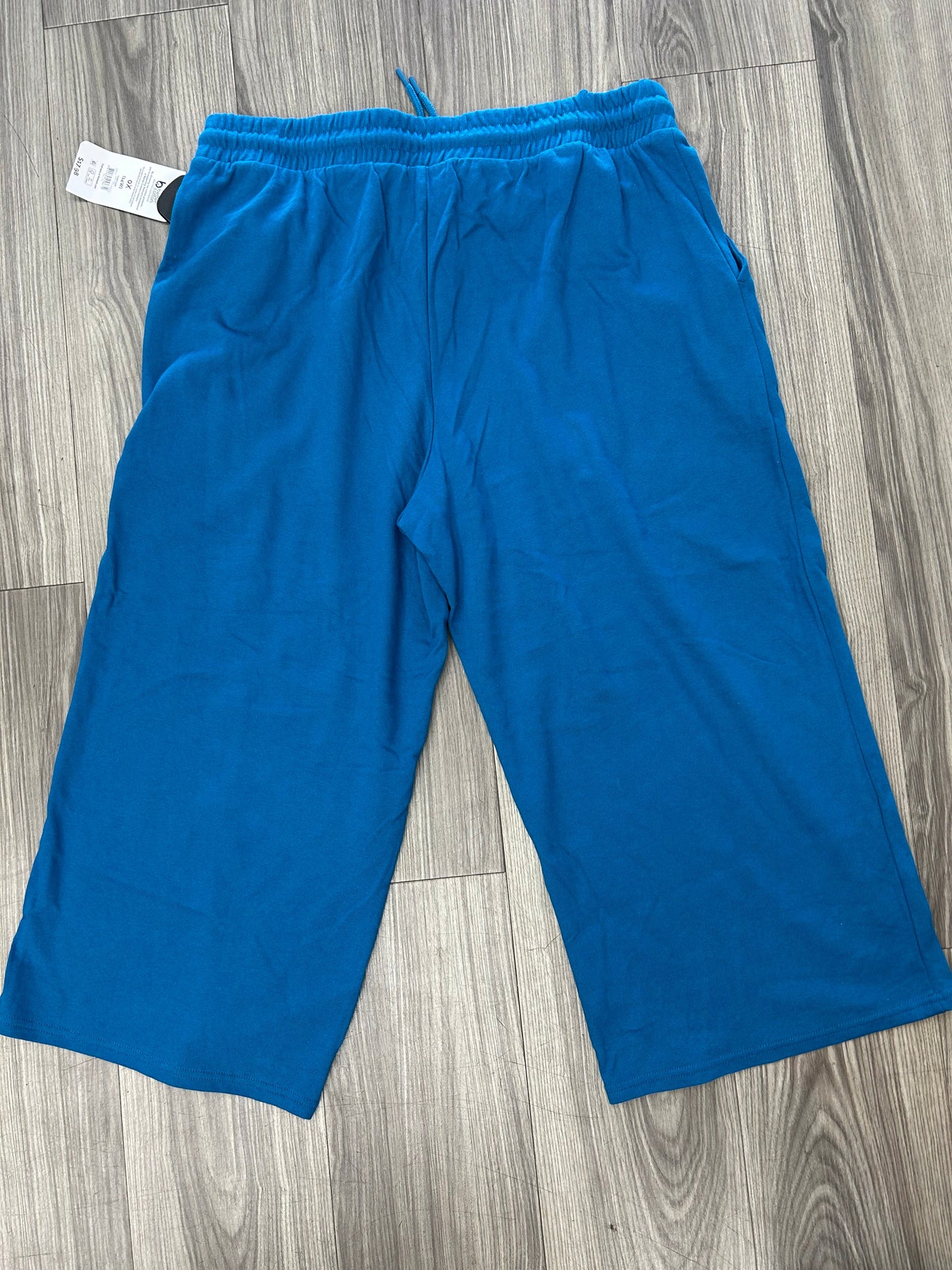 Athletic Pants By Terra & Sky In Blue, Size: Xl