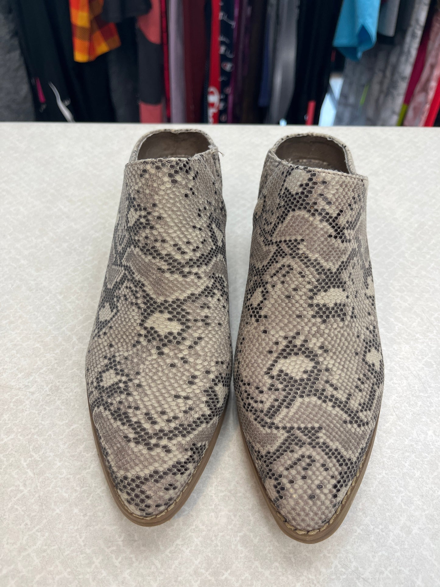 Snakeskin Print Shoes Heels Block Sugar, Size 9