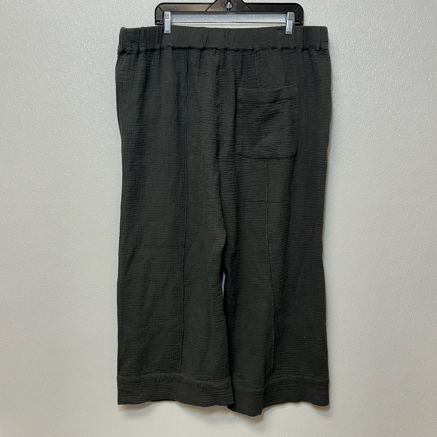 Olive Pants Linen Clothes Mentor, Size Xl