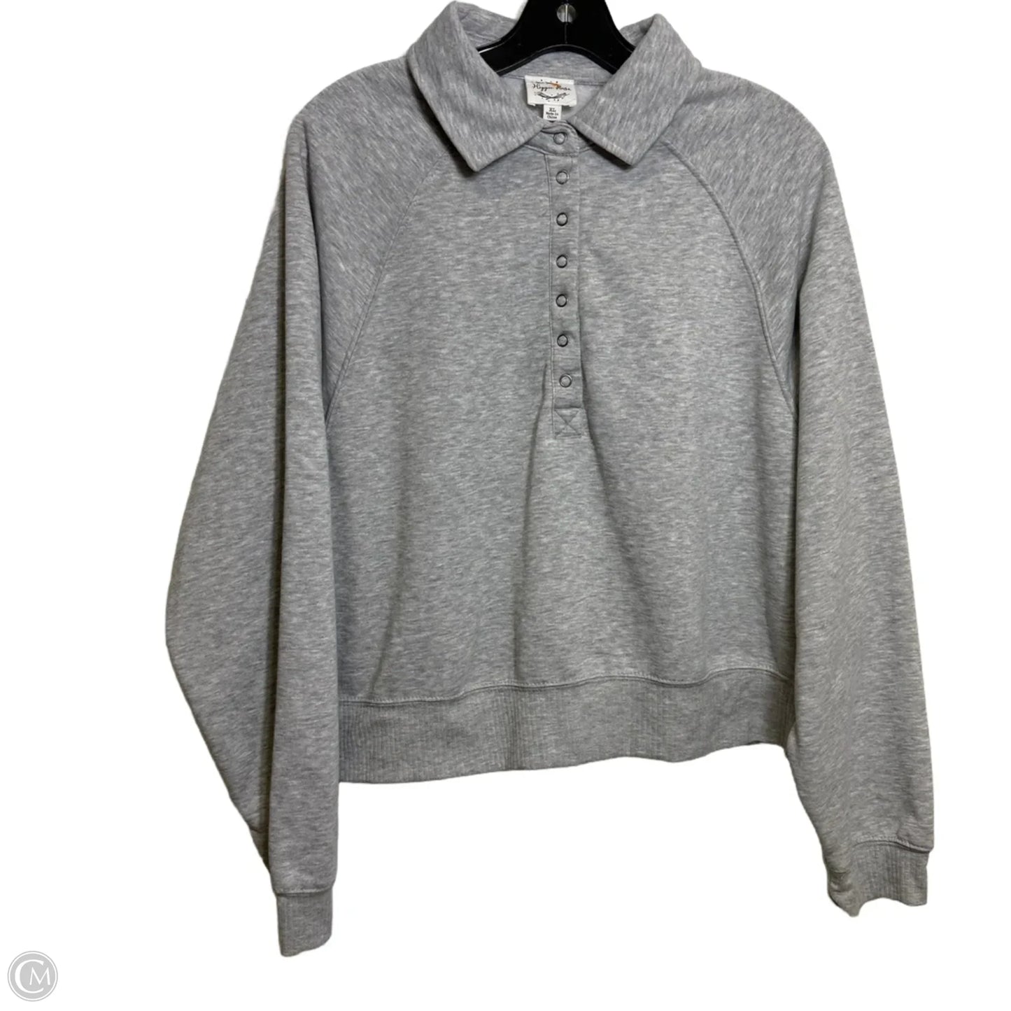 Top Long Sleeve By Hippie Rose In Grey, Size: Xl