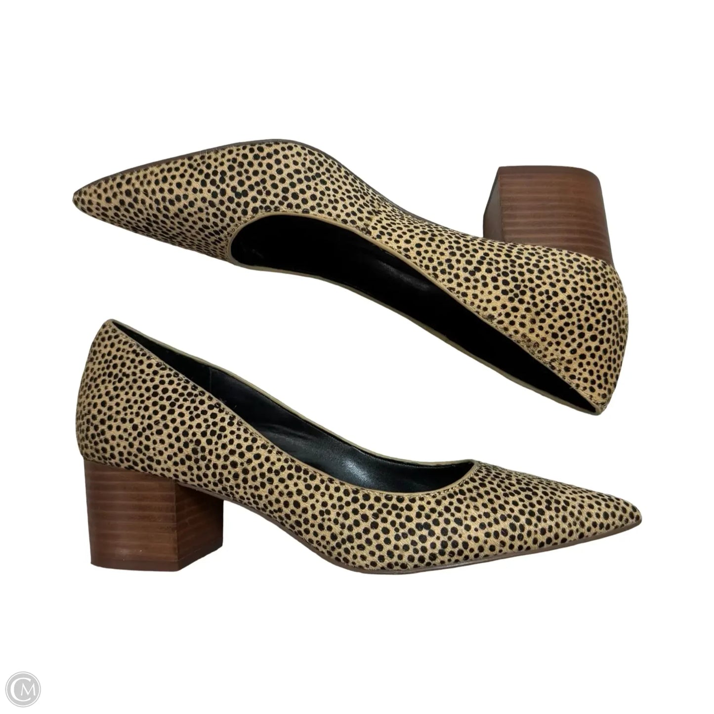 Shoes Flats By Sole Society In Leopard Print, Size: 7
