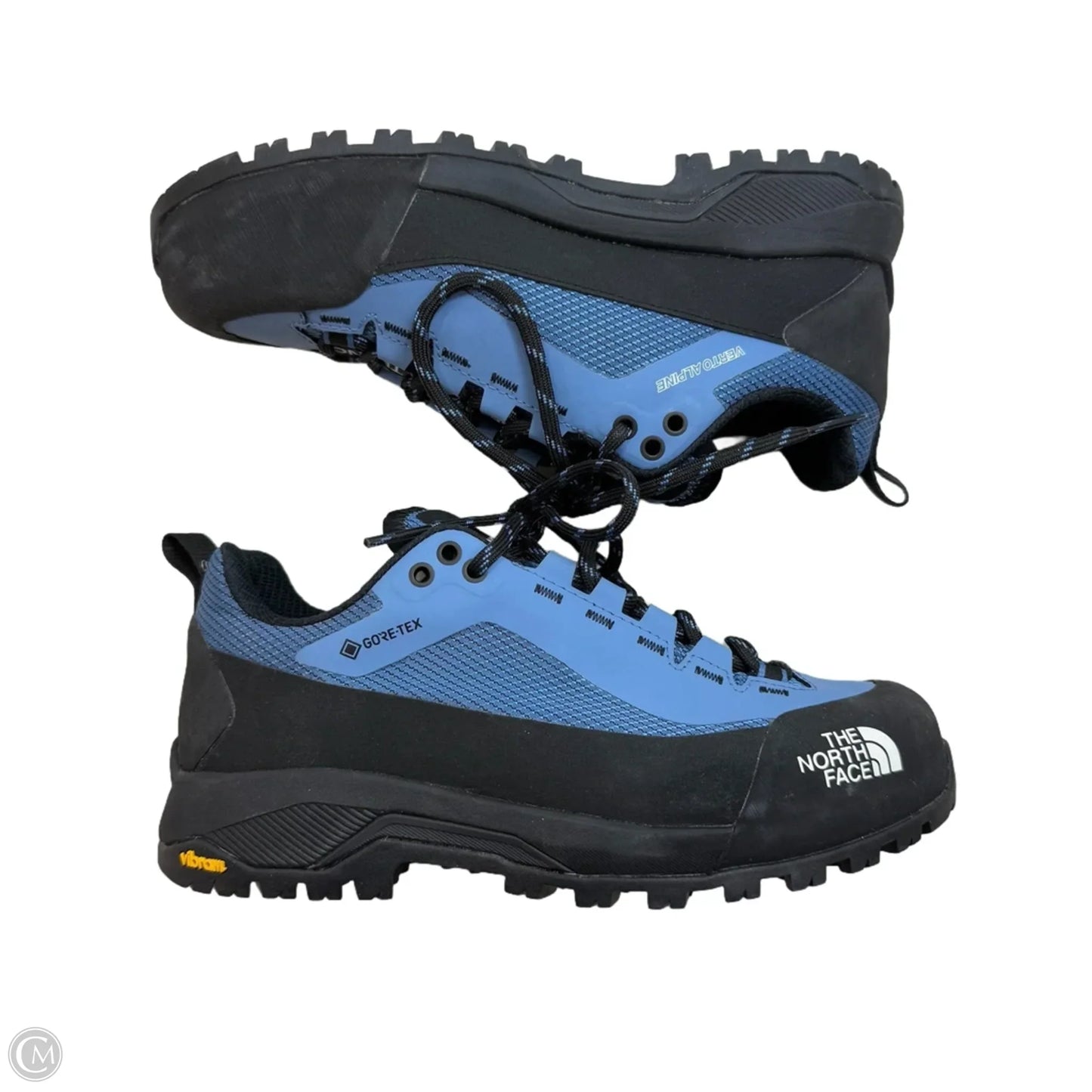 Shoes Sneakers By The North Face In Black & Blue, Size: 7