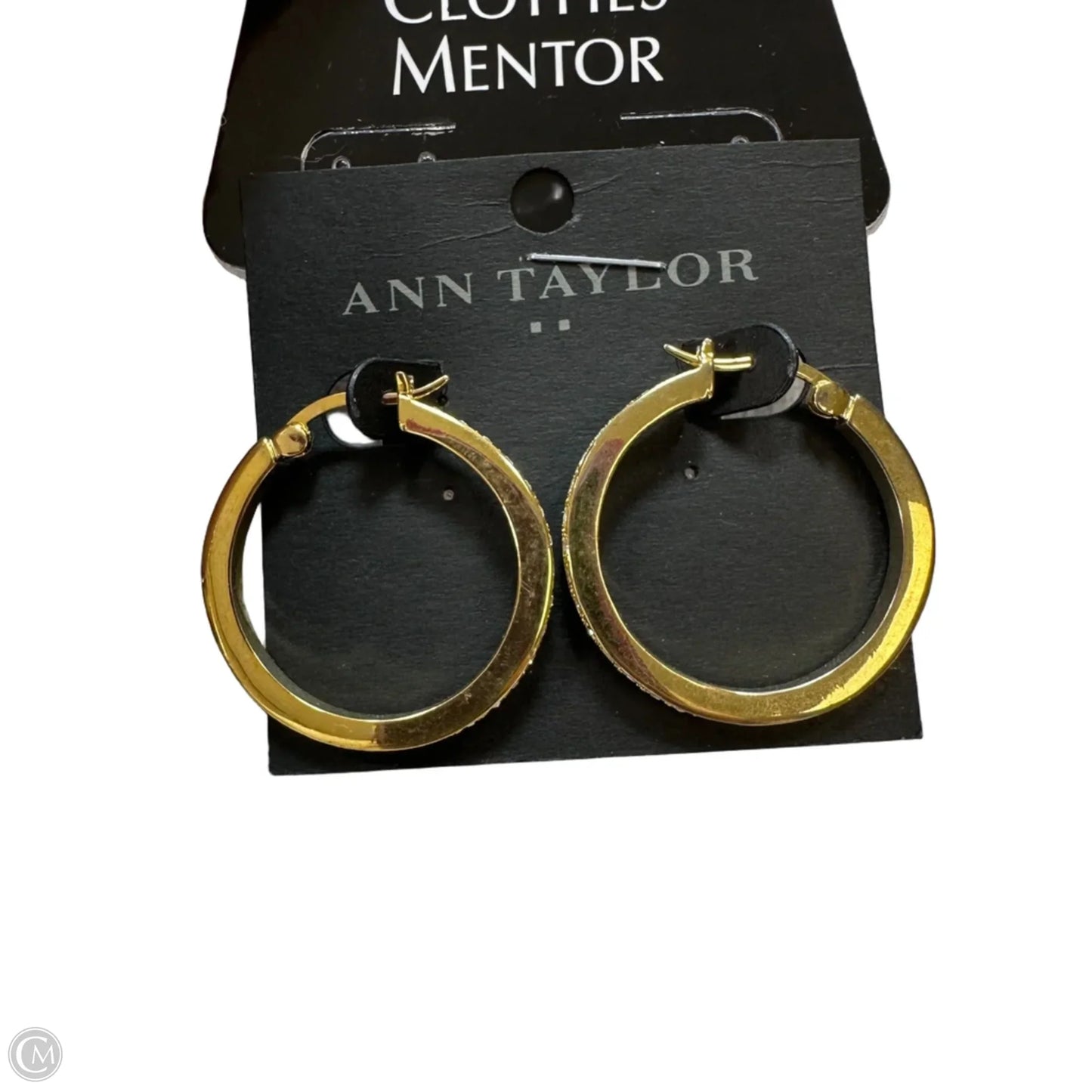 Earrings Hoop By Clothes Mentor