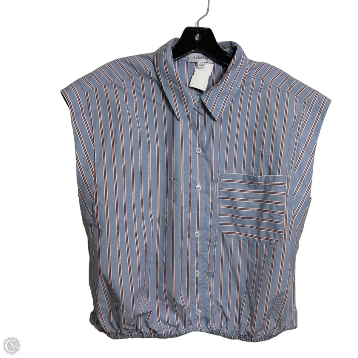 Top Short Sleeve By Evereve In Striped Pattern, Size: L