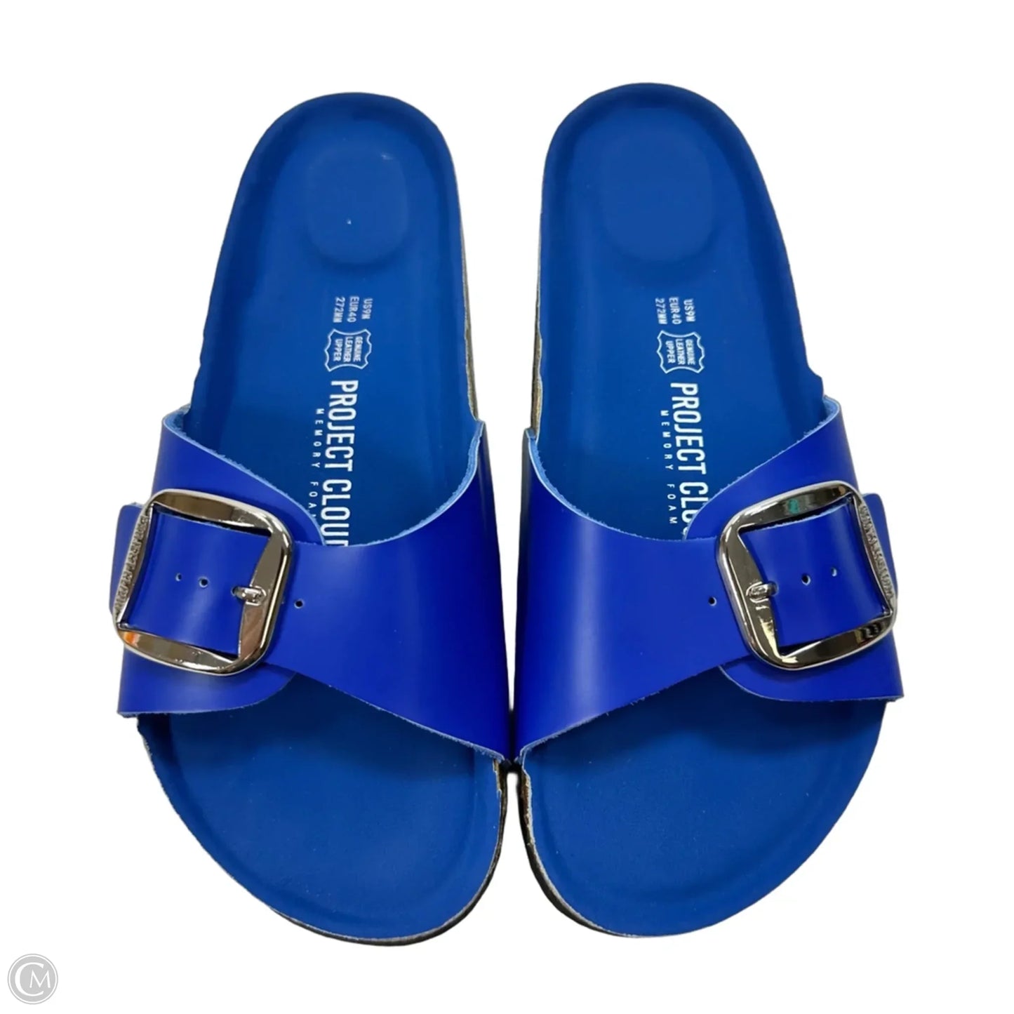 Sandals Flats By Clothes Mentor In Blue, Size: 9