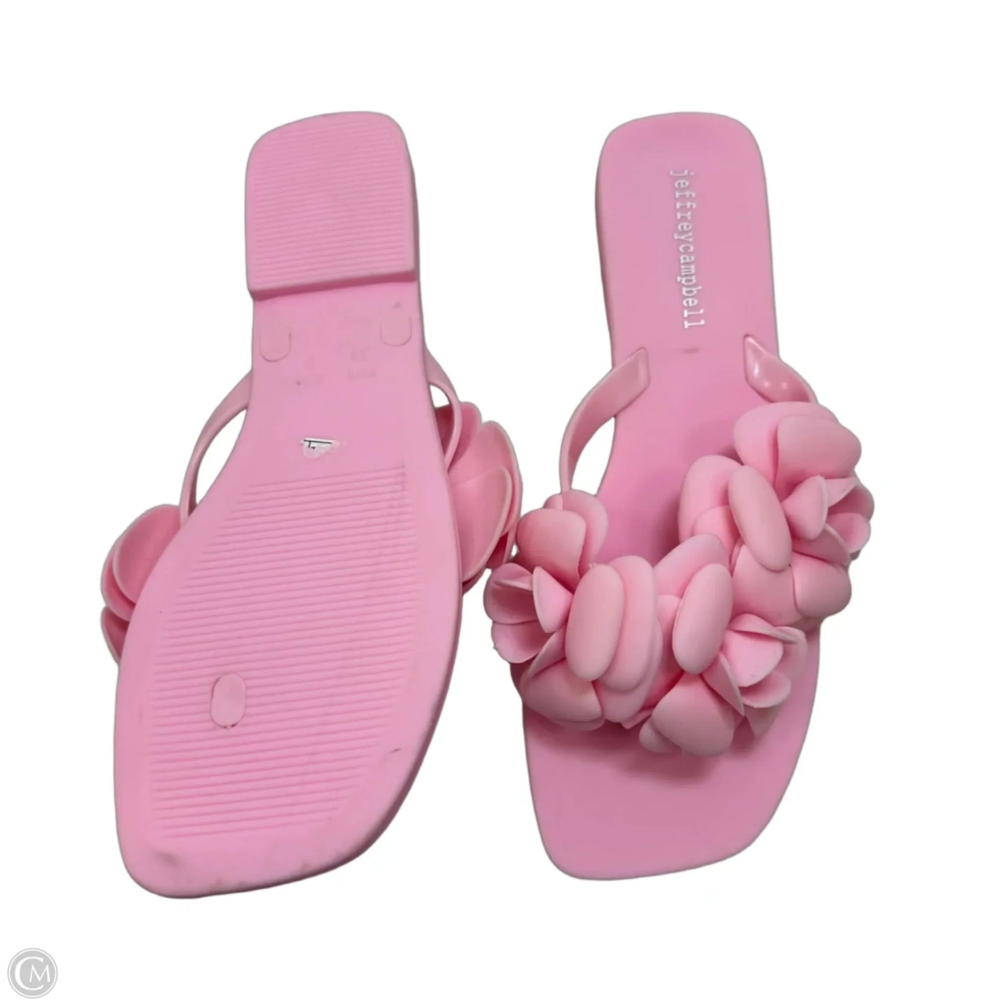 Sandals Flip Flops By Jeffrey Campbell In Pink, Size: 8