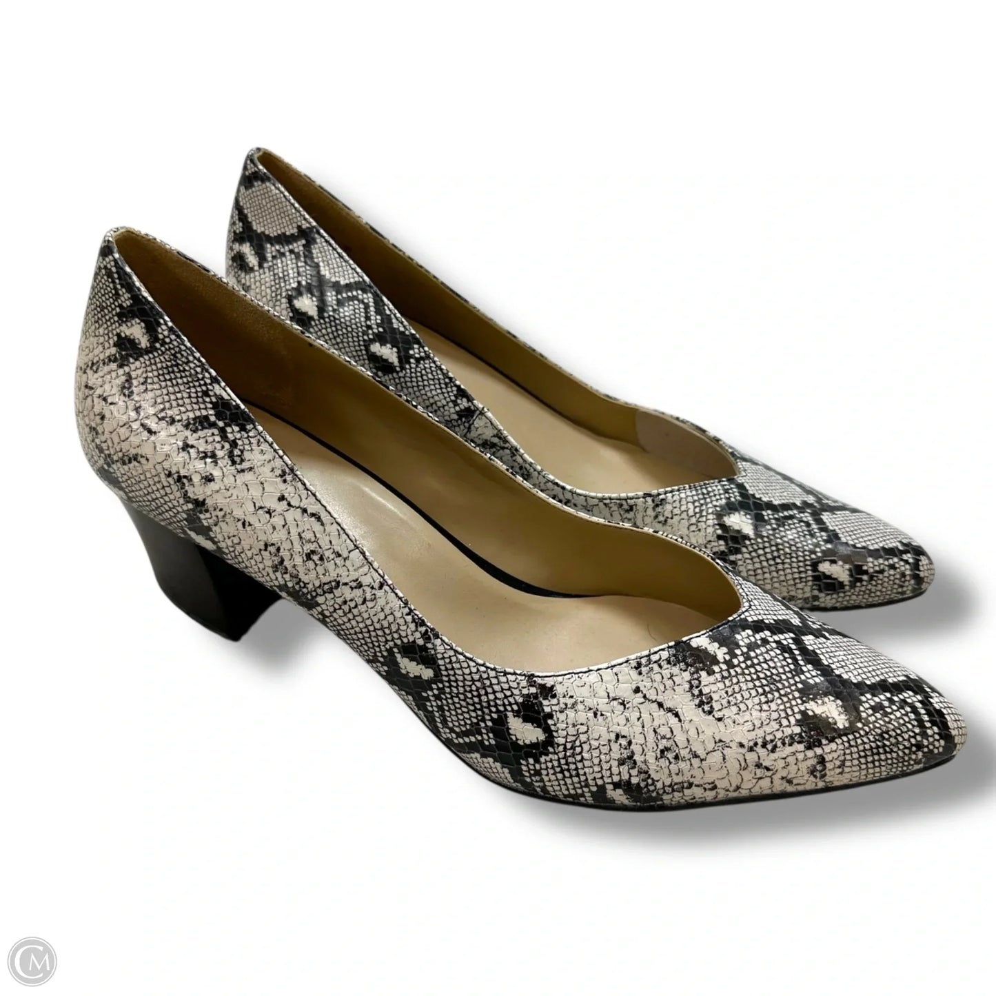 Shoes Heels Block By Naturalizer In Animal Print, Size: 10