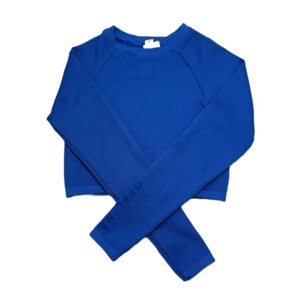 Top Long Sleeve By Offline By Aerie In Blue, Size: S