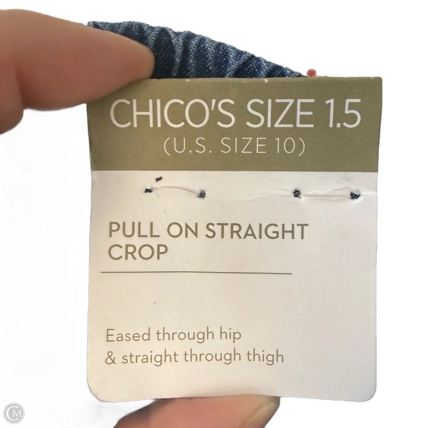 Pants Other By Chicos In Blue, Size: 10