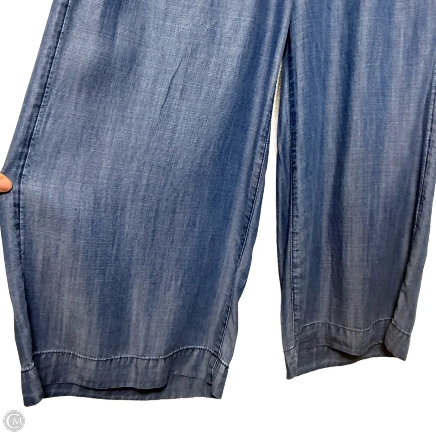 Pants Other By Chicos In Blue, Size: 10