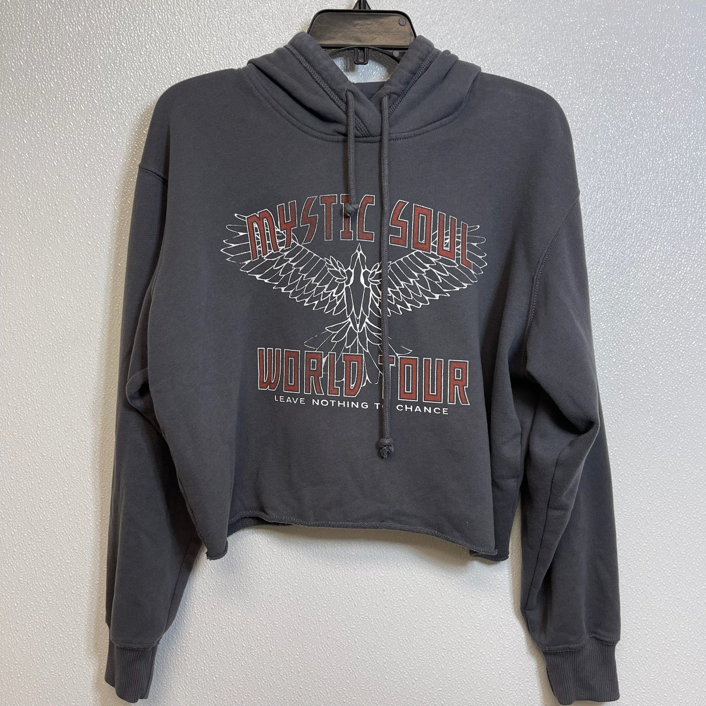 Sweatshirt Hoodie By Hollister In Grey, Size: M