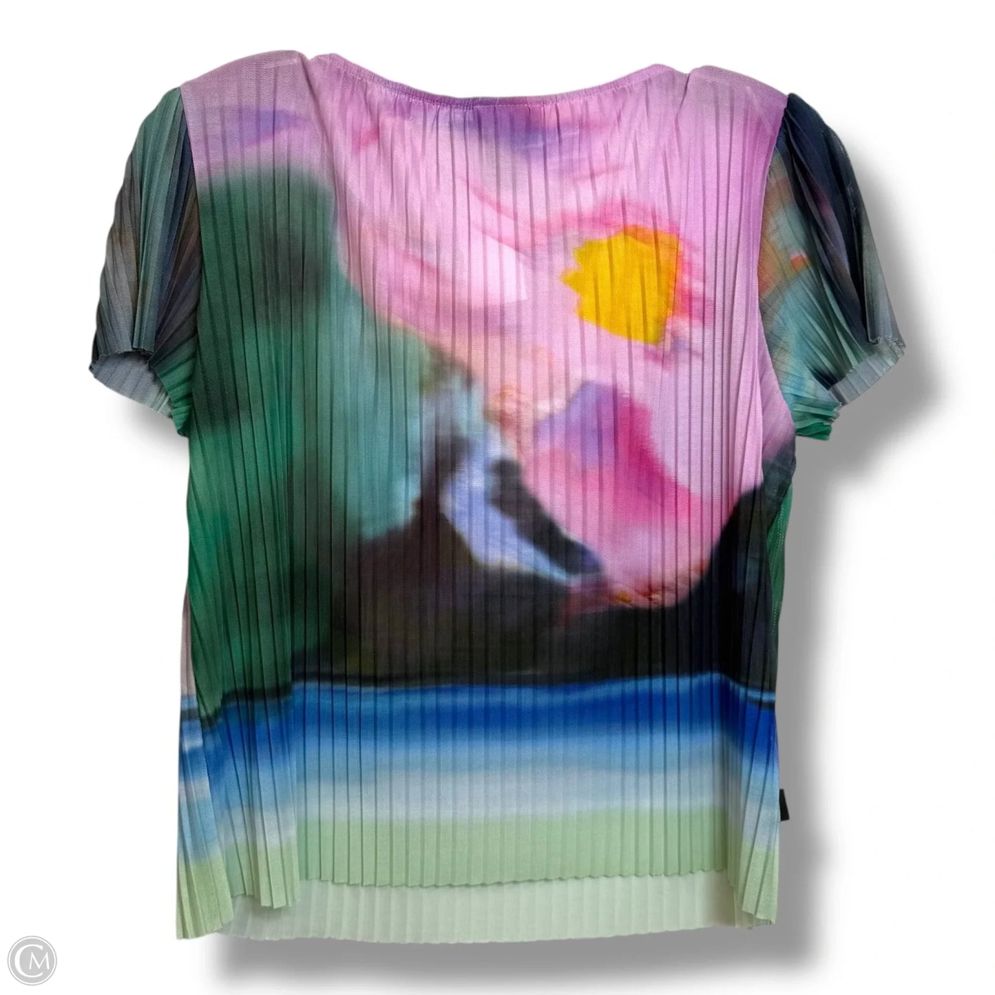 Top Short Sleeve By Desigual In Multi-colored, Size: M