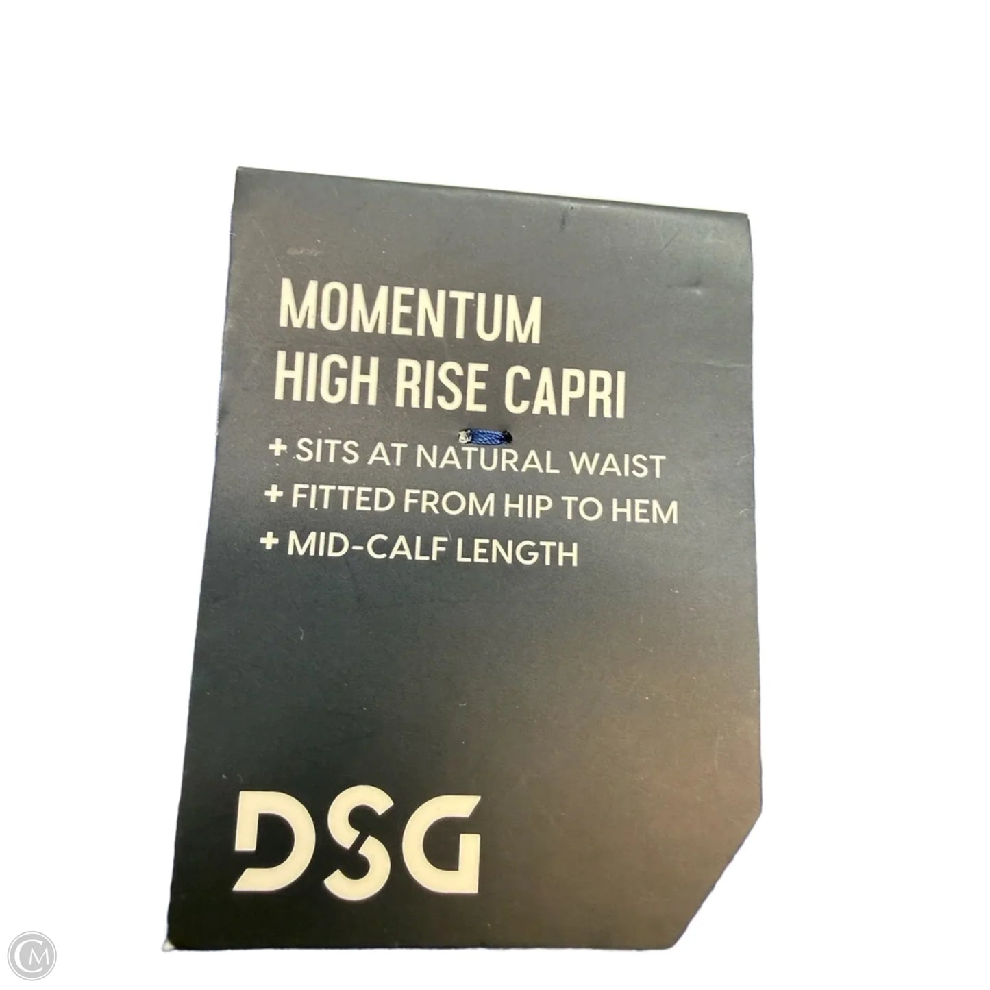 Athletic Capris By Dsg Outerwear In Blue, Size: S