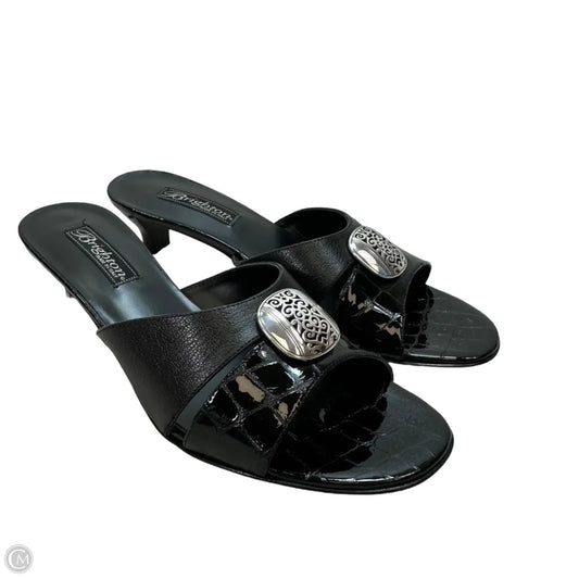 Shoes Heels Kitten By Brighton In Black, Size: 8