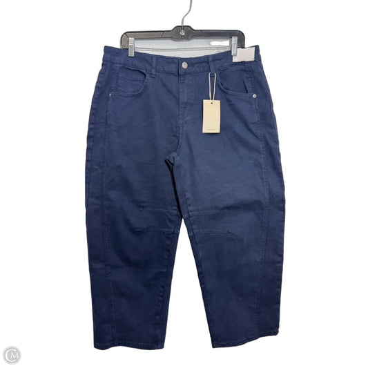 Pants Other By Flamingals In Navy, Size: 2x