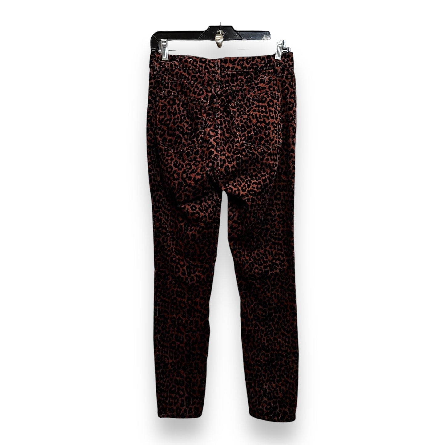 Pants Ankle By Loft In Animal Print, Size: 4