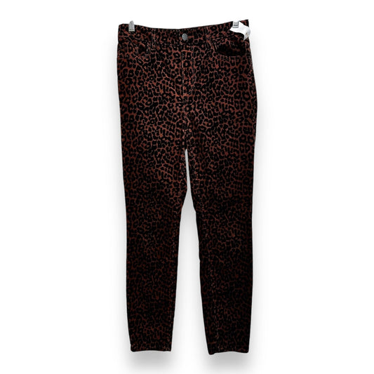 Pants Ankle By Loft In Animal Print, Size: 4